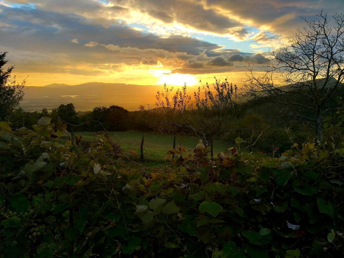 Villa Giuliana B&B Σκαρπερία Εξωτερικό φωτογραφία