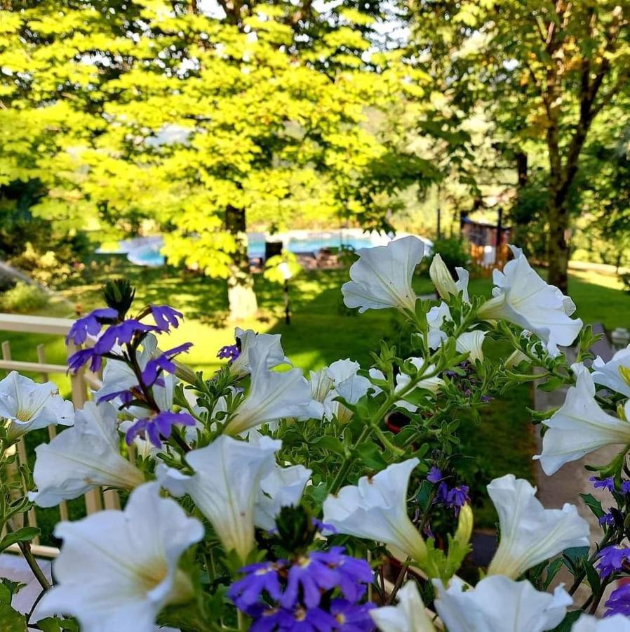 Villa Giuliana B&B Σκαρπερία Εξωτερικό φωτογραφία